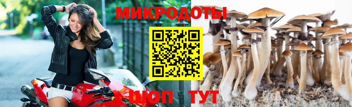 Псилоцибиновые грибы ЛСД Иваново